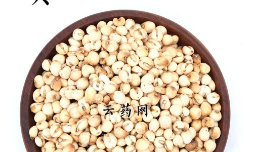 巴戟天功效作用-巴戟天虫草功效与作用网 | 巴戟天胶囊的作用和功效,巴戟天的功效