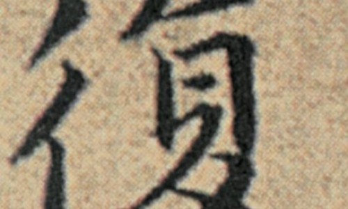 巴戟天虫草功效与作用网 | 巴戟天胶囊的作用和功效,巴戟天的功效